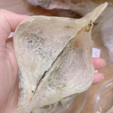 Tổ Yến Sào Thô Ít Lông Khánh Hòa Nguyên Chất - Sợi Già Gân Dai, Ngon, Hoàng Xuân Yến 6