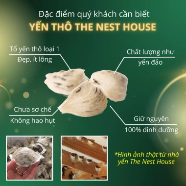 Tổ yến sào thô ít lông nguyên chất nguyên tổ 100g The Nest House 1.150.000 VND 2