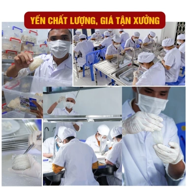 Tổ Yến Vụn Nguyên Chất 100% Già Nha Trang Vipa – Giá Ưu Đãi 1.050.000 VNĐ 5 Tổ Yến Vụn Nguyên Chất 100% Già Nha Trang Vipa – Giá Ưu Đãi 1.050.000 VNĐ 5