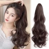 Tóc Giả Nữ Luimo Dài 35‑60cm Xoăn Đuôi Ngựa Kẹp Móng Vuốt SBS Giá 83.376 VND 2