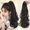Tóc Giả Nữ Luimo Dài 35‑60cm Xoăn Đuôi Ngựa Kẹp Móng Vuốt SBS Giá 83.376 VND 3