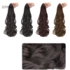 Tóc Giả Nữ Luimo Dài 35‑60cm Xoăn Đuôi Ngựa Kẹp Móng Vuốt SBS Giá 83.376 VND 7