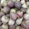 Tỏi Cô Đơn 1kg - Hương Vị Tươi Ngon, Giảm Giá Đặc Biệt 125.000₫, Nhanh Giao 2