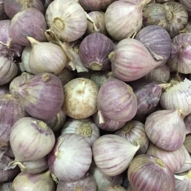 Tỏi Cô Đơn 1kg - Hương Vị Tươi Ngon, Giảm Giá Đặc Biệt 125.000₫, Nhanh Giao 4