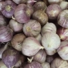 Tỏi cô đơn 2kg - Giá siêu rẻ 129k, khuyến mãi giảm giá, tỏi tươi ngon 4