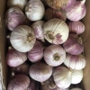 Tỏi Cô Đơn 3kg Siêu To - Hương Vị Tươi Ngon, Giảm Giá Đặc Biệt 350.000 VND (Giá Gốc 437.500 VND)