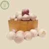Tỏi Cô Đơn Size Trung 1kg Sạch Vỏ Bụi, Củ Thơm Nồng - Giá 59k giảm từ 70.8k Hành Tỏi A Mẫn 4