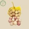 Tỏi Cô Đơn Size Trung 1kg Sạch Vỏ Bụi, Củ Thơm Nồng - Giá 59k giảm từ 70.8k Hành Tỏi A Mẫn 8
