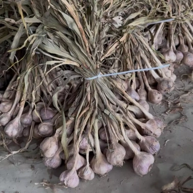 Tỏi Củ Kinh Môn 2kg - Thơm Nồng Đậm Vị, Tốt cho Sức Khỏe, Giá Ưu Đãi 131,000₫ 3