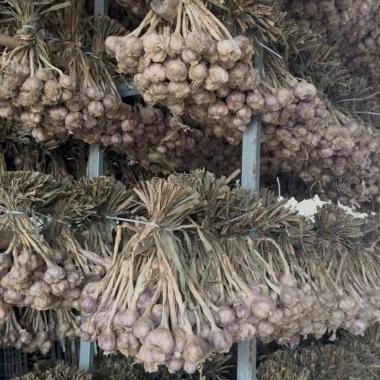 Tỏi Củ Kinh Môn 2kg - Thơm Nồng Đậm Vị, Tốt cho Sức Khỏe, Giá Ưu Đãi 131,000₫ 4
