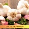 Tỏi Củ Kinh Môn Loại 1 Đã Chọn Lọc - Củ to, chắc, mẩy, chuẩn vị - Giá ưu đãi 68.000đ | ANH BÉO NÔNG SẢN 4