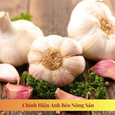 Tỏi Củ Kinh Môn Loại 1 Đã Chọn Lọc - Củ to, chắc, mẩy, chuẩn vị - Giá ưu đãi 68.000đ | ANH BÉO NÔNG SẢN 4 Tỏi Củ Kinh Môn Loại 1 Đã Chọn Lọc - Củ to, chắc, mẩy, chuẩn vị - Giá ưu đãi 68.000đ | ANH BÉO NÔNG SẢN 4