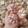 Tỏi Củ Sạch 1Kg - Tỏi Khô Tép Hồng Chắc, Thơm Nồng, Giá Ưu Đãi 37k từ 45k - A Mẫn 6