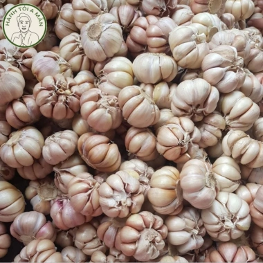 Tỏi Củ Sạch 1Kg - Tỏi Khô Tép Hồng Chắc, Thơm Nồng, Giá Ưu Đãi 37k từ 45k - A Mẫn 7