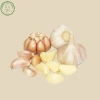 Tỏi Lột Sạch Vỏ Đóng Túi 1kg - Tỏi Tươi Lột Sẵn Bảo Quản Lạnh | Hành Tỏi A Mẫn - Giá 59.000 4