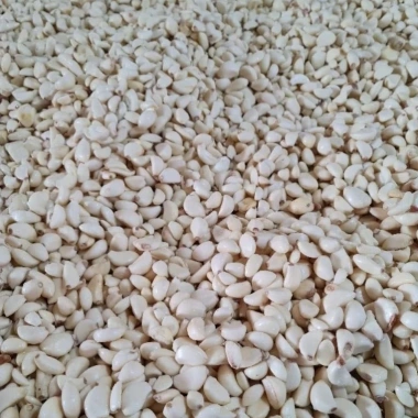 Tỏi Lột Sạch Vỏ Đóng Túi 1kg - Tỏi Tươi Lột Sẵn Bảo Quản Lạnh | Hành Tỏi A Mẫn - Giá 59.000 6