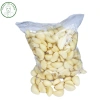 Tỏi Lột Sạch Vỏ Đóng Túi 1kg - Tỏi Tươi Lột Sẵn Bảo Quản Lạnh | Hành Tỏi A Mẫn - Giá 59.000 9