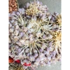 Tỏi ta còn cuống 1kg siêu thơm - tỏi tía tươi ngon, giảm còn 39.000đ 3