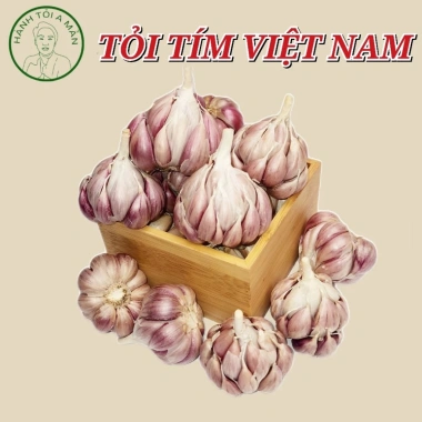 Tỏi Tím Việt Nam 1Kg - Tỏi Bắc Loại Ngon, Sạch, Thơm Nồng, Giá 56.000 VND Tỏi Tím Việt Nam 1Kg - Tỏi Bắc Loại Ngon, Sạch, Thơm Nồng, Giá 56.000 VND