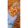 Tôm Khô Lan Anh 500g Size Lớn Thủ Công Loại 1 Ngọt Tự Nhiên Không Phẩm Màu Giá Ưu Đãi 140k 7