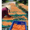 Tôm khô loại 1 ngon ngọt - Đặc sản Tam Tiến Quảng Nam, giảm giá 160.000đ 3