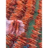 Tôm Khô Sú Móng Chim 200-250g - Tôm Cà Mau Thiên Nhiên Ngon Ngọt - Giá ưu đãi 249.000đ 5