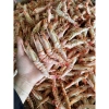 Tôm Khô Sú Thiên Nhiên 500g Vỏ Móng Chim - Ngon Ngọt Thẳng Quà Biếu Giá 319k 3