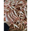 Tôm Khô Sú Thiên Nhiên 500g Vỏ Móng Chim - Ngon Ngọt Thẳng Quà Biếu Giá 319k 4