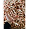 Tôm Khô Sú Thiên Nhiên 500g Vỏ Móng Chim - Ngon Ngọt Thẳng Quà Biếu Giá 319k 5