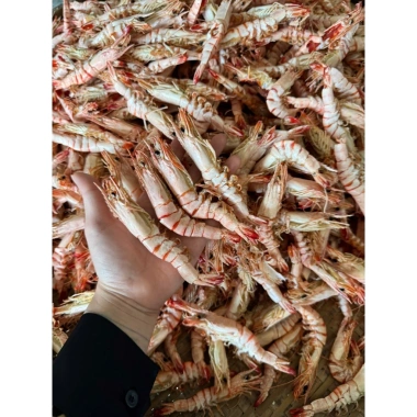 Tôm Khô Sú Thiên Nhiên 500g Vỏ Móng Chim - Ngon Ngọt Thẳng Quà Biếu Giá 319k 5