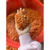 Tôm khô thẻ (Canh nhỏ) 500g-1kg - Thịt ngọt tự nhiên, giá rẻ, dùng kho tiêu, rim - Giảm còn 285.000₫ 2