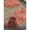 Tôm khô thẻ (Canh nhỏ) 500g-1kg - Thịt ngọt tự nhiên, giá rẻ, dùng kho tiêu, rim - Giảm còn 285.000₫ 4