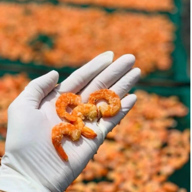 Tôm khô Tuấn Nguyễn 500g size to, không chất bảo quản, không phẩm màu - Giá giảm 339k