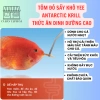 Tôm Nam Cực Sấy Khô YEE Antarctic Krill Đạm Cao Tăng Màu, Tăng Size Cá 269k 5