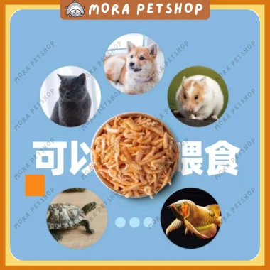 Tôm sấy đông khô giàu canxi - Hỗ trợ tiêu hoá cho chó, mèo, hamster, rùa - 40.000đ 6