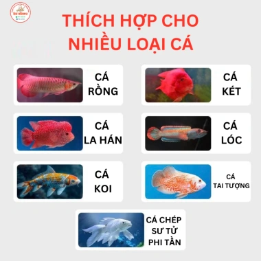Tôm sấy khô canxi 68% đạm cao - Thức ăn tăng độ sung cho chép phi tần, chép sư tử, cá rồng, koi, cá lóc - 21.123 VND 2
