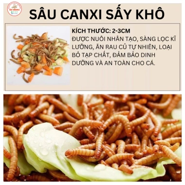 Tôm sấy khô canxi 68% đạm cao - Thức ăn tăng độ sung cho chép phi tần, chép sư tử, cá rồng, koi, cá lóc - 21.123 VND 6