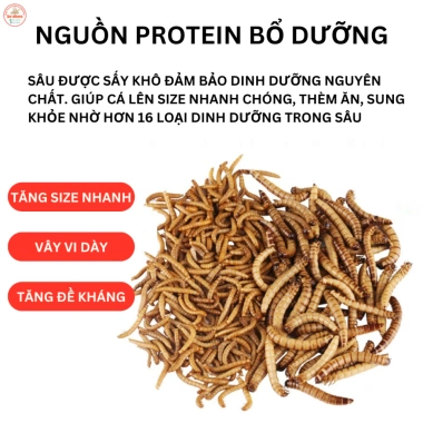 Tôm sấy khô canxi 68% đạm cao - Thức ăn tăng độ sung cho chép phi tần, chép sư tử, cá rồng, koi, cá lóc - 21.123 VND 7