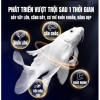 Tôm sấy khô canxi 68% đạm cao - Thức ăn tăng độ sung cho chép phi tần, chép sư tử, cá rồng, koi, cá lóc - 21.123 VND 9