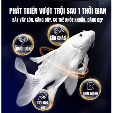 Tôm sấy khô canxi 68% đạm cao - Thức ăn tăng độ sung cho chép phi tần, chép sư tử, cá rồng, koi, cá lóc - 21.123 VND 9