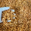 Tôm sấy thăng hoa cho chó mèo hamster - Canxi, khoáng chất, protein - 29.000đ