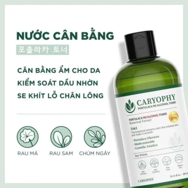 Toner Caryophy Portulola 300ml - Nước cân bằng không cồn, dịu nhẹ cho da dầu m, chỉ 500k 3 Toner Caryophy Portulola 300ml - Nước cân bằng không cồn, dịu nhẹ cho da dầu m, chỉ 500k 3