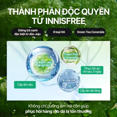 Toner sữa cấp ẩm INNISFREE Green Tea Ceramide Milk - Dưỡng ẩm, phục hồi, giá 414.000 VND