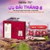 TPBVSK Hồng Sâm Cô Đặc Hongsamjin EX 30 gói - Giảm 22% - Tăng sức đề kháng, năng lượng