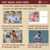 Trà An Vị Trào Ngược Dạ dày – Thanh nhiệt, tả hỏa, giảm ợ chua, ợ nóng, hỗ trợ tiêu hóa – 185.000₫ 2