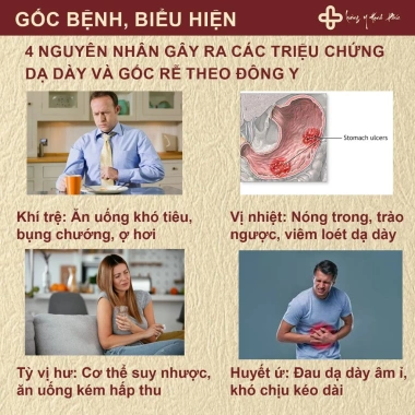 Trà An Vị Trào Ngược Dạ dày – Thanh nhiệt, tả hỏa, giảm ợ chua, ợ nóng, hỗ trợ tiêu hóa – 185.000₫