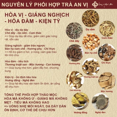 Trà An Vị Trào Ngược Dạ dày – Thanh nhiệt, tả hỏa, giảm ợ chua, ợ nóng, hỗ trợ tiêu hóa – 185.000₫