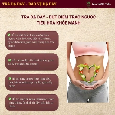 Trà An Vị Túi Nhỏ - Trào Ngược Dạ Dày, Tả Hỏa, Giảm ợ chua ợ nóng, 54.000đ 6