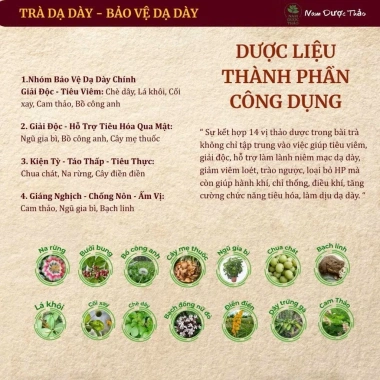 Trà An Vị Túi Nhỏ - Trào Ngược Dạ Dày, Tả Hỏa, Giảm ợ chua ợ nóng, 54.000đ 7