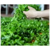 Trà Bắc Thái Nguyên 1kg Loại 1 Đặc Biệt Móc Câu Giá Ưu Đãi 240k 6